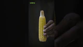 Download Lagu The Smarter Way to Brush | oraimo SoniCare MP3