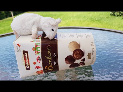 Delaviuda Bombones Hazelnut