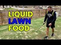 Liquid lawn food  backpack sprayer application  improve soil health  1 week lawn scalp update