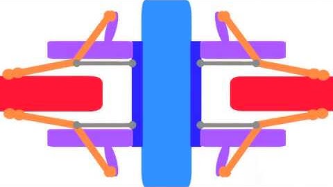 The Spindle Assembly Checkpoint