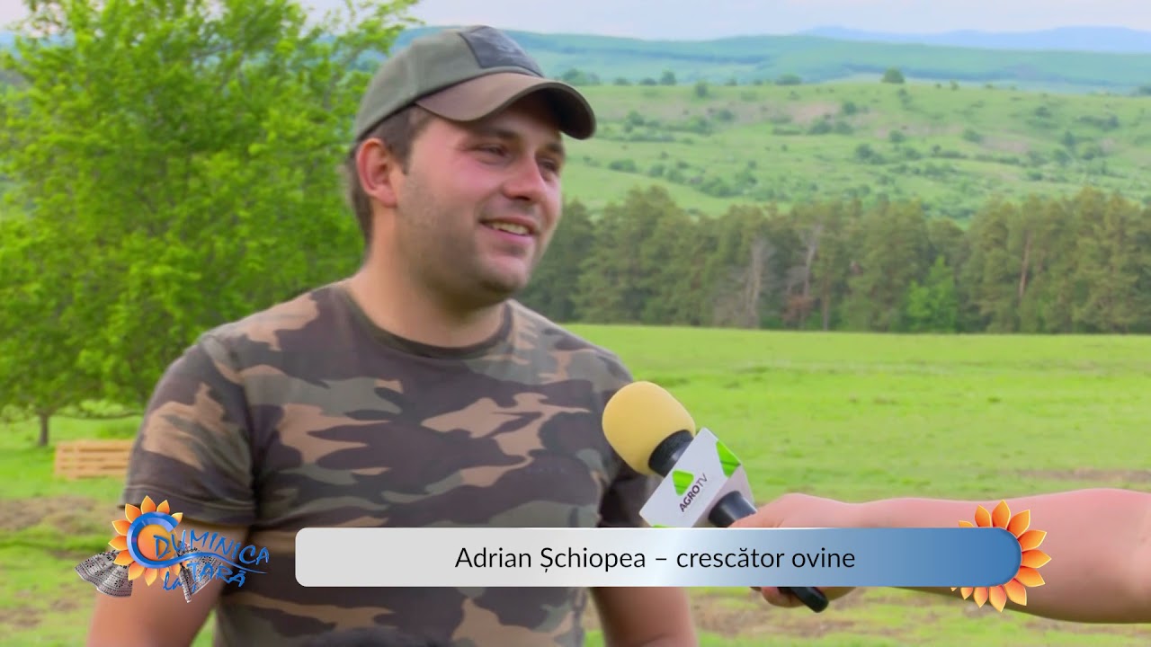 Viața de crescător de bovine, din ce în ce mai grea. ”Nu se câștigă și e chin mult” 1 Viața de crescător de bovine, din ce în ce mai grea. ”Nu se câștigă și e chin mult” YouTube player