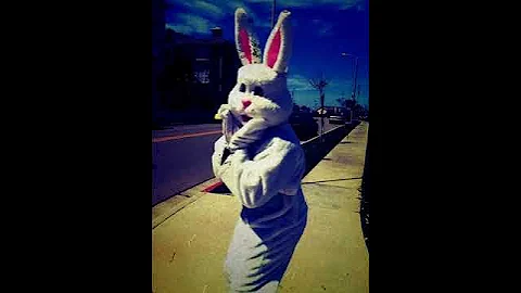 Easter Bunny Gone Wild! by Tiffany Dooley