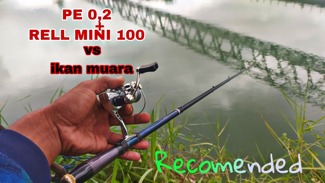 Tes & Review Rell spining terkecil, Mancing ikan baby gt di sungai