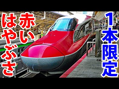 【１日１本】東北新幹線の赤い「はやぶさ」 東京→仙台 グリーン車に乗車！