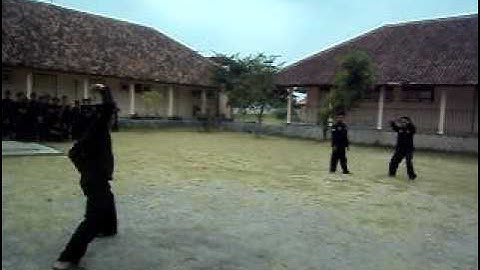 JURUS PUKULAN JARAK JAUH TENAGA DALAM KEBATINAN