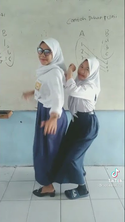 tiktok SMP