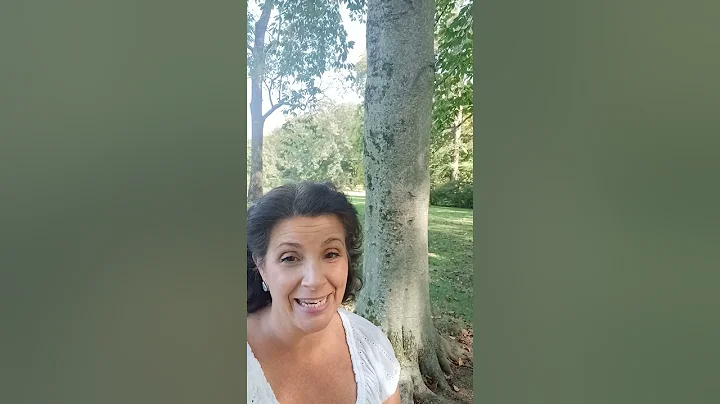 Jennifer eck 3 parts of a tree song