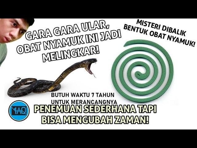 KISAH BENTUK OBAT NYAMUK YANG TERCIPTA KARENA ULAR! Penemuan Sederhana yang Mengubah Dunia! class=