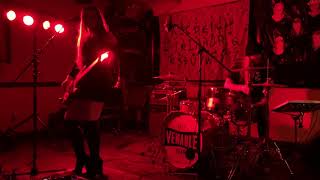 Ally Venable Band - Use Me - Excuses Bar And Grill - Pittsburgh PA - 11/2/19