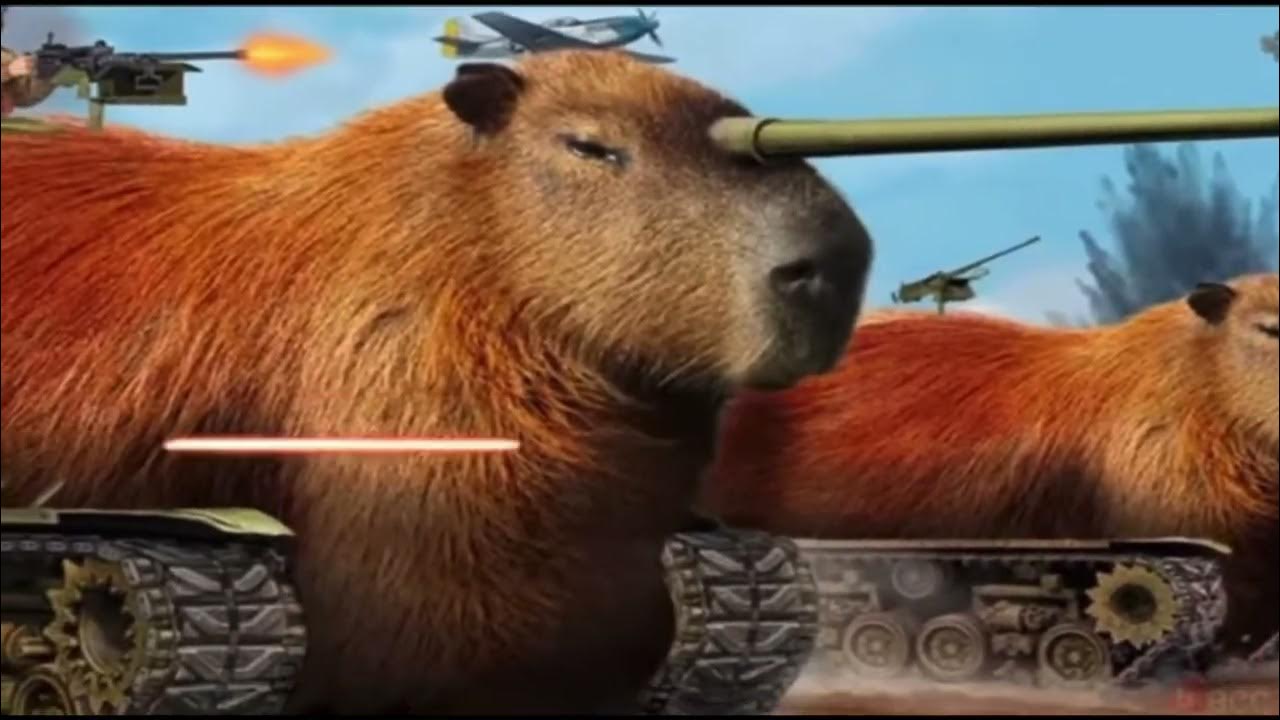 Танк капибара