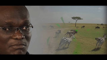 My Smart M.App Story Mashup