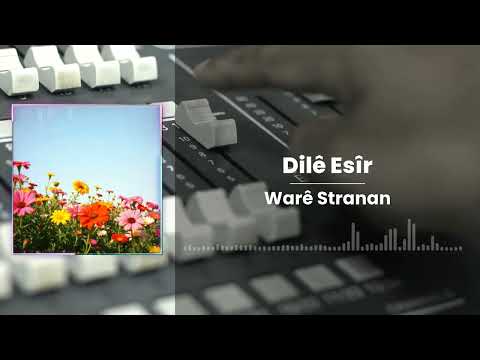 Dilê Esîr V2