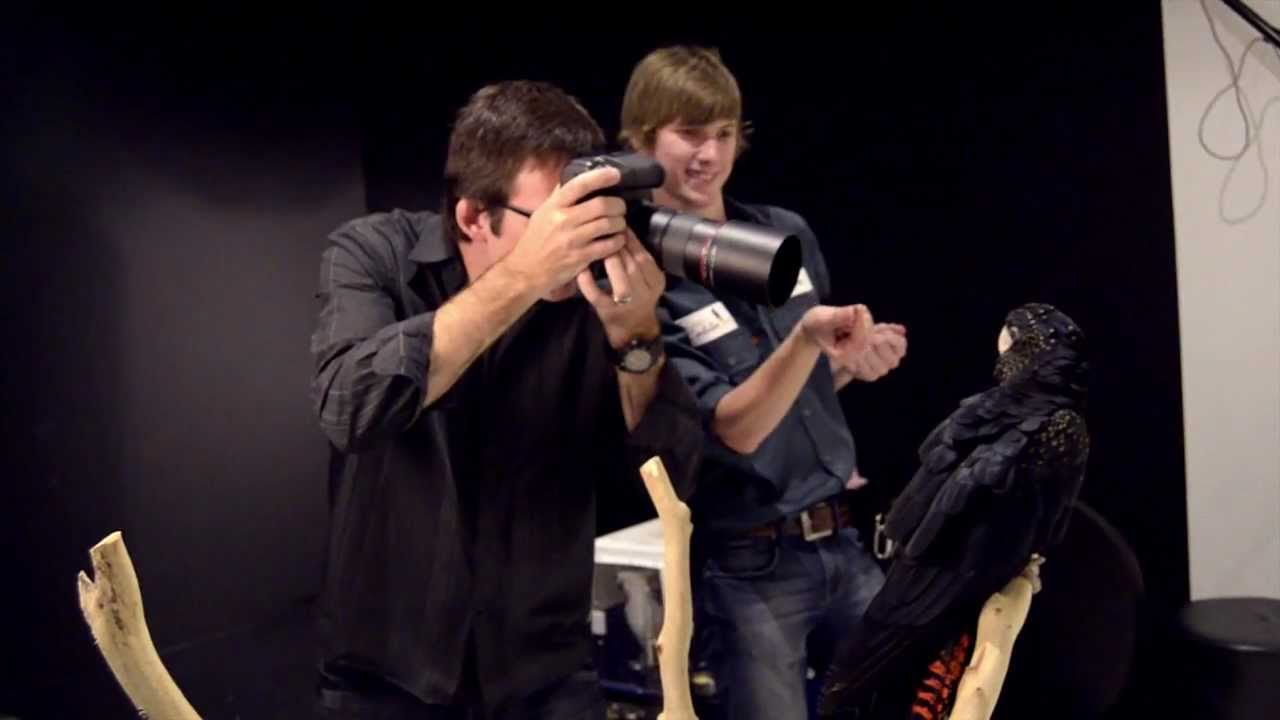 Zoo Studio - Behind the Scenes Sneak Peek - YouTube