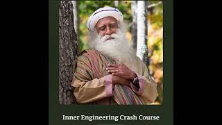 Inner Engineering Crash Course screenshot 1