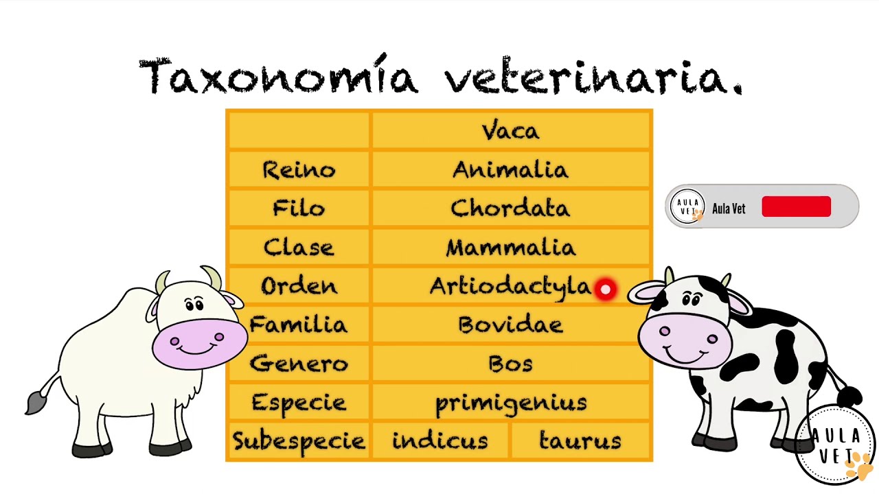 Taxonomía Veterinaria - thptnganamst.edu.vn