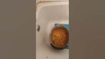 Easy mushroom growing chemical pasteurization of straw part 6