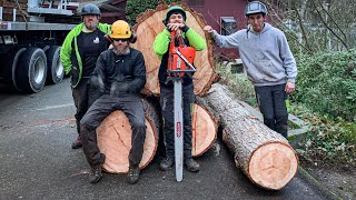 WHAT'S IT WEIGH???  Big Fir Crane Removal!