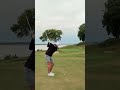 Two ELITE Golf Swings!