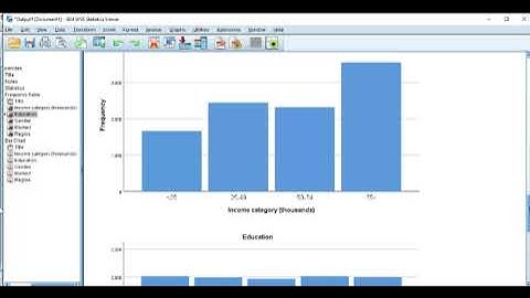 Descriptive Statistics on SPSS (Categorical and Continues Variables)