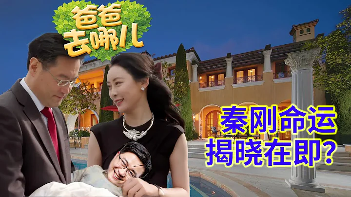 爸爸去哪兒秦剛特輯⑨：幾小時後可能官宣秦剛命運；白俄外交官回憶秦剛團隊的“可怕”；總結一下目前就此事的觀點 - 天天要聞