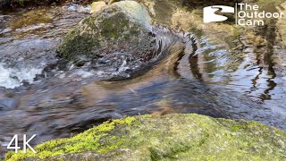 4K Creek running through the woods – relaxing and calming river sound