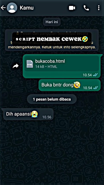 Script nembak cewek nih, ada yang mau?🤣 #html #fyp #scripthtml #tiktok