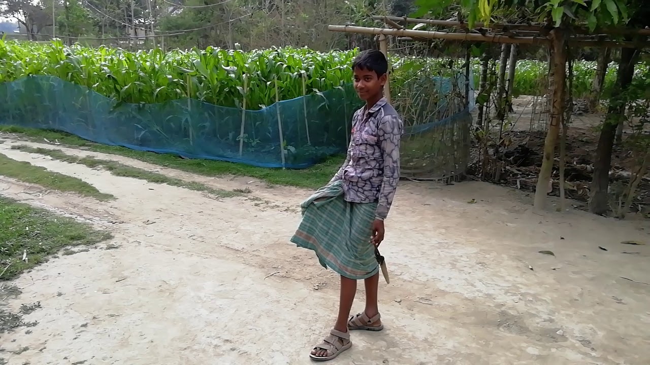 Boy after circumcision