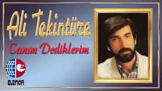 Ali Tekintüre - Topraktan Bedene Resimi