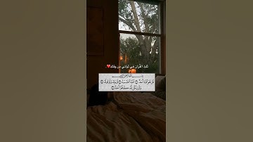 القارئ ماهر المعيقي سورة الاخلاص ماتيسر من القرآن #تذكار #اكسبلور #قران_كريم #لايك #متابعه