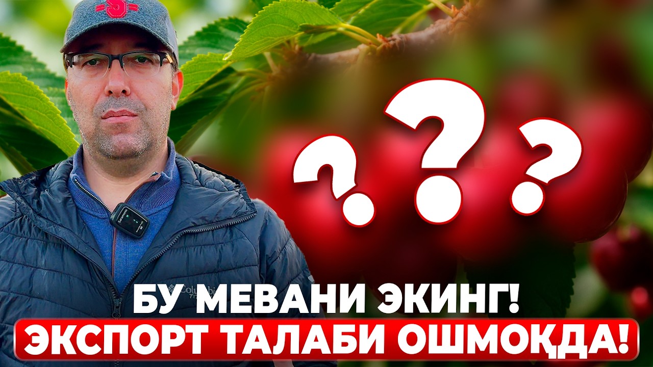 НАРХИ ВА ТАЛАБИ РЕКОРД ДАРАЖАДА! | ШУҲРАТ АБРОРОВ #shuhratabrorov