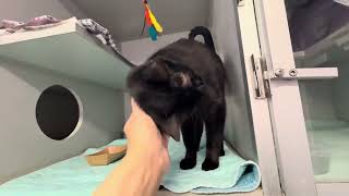 Miss Freddy 241506 Is Not Shy Anymore