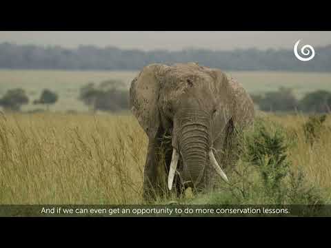 Echo Environmental Education