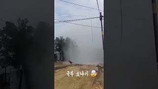 충격적인 국부 소나기 #한쪽만 내리는 소나기 #isolated shower 충격적인 국부 소나기 #한쪽만 내리는 소나기 #isolated shower