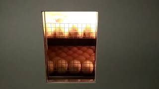 Овоскопирование куриных яиц 18 дней инкубации