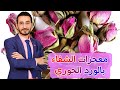 علاج القولون العصبي واستمتع بالاسترخاء بشكل لم يسبق له مثيل تعرف على معجزات الشفاء بالورد الجوري 