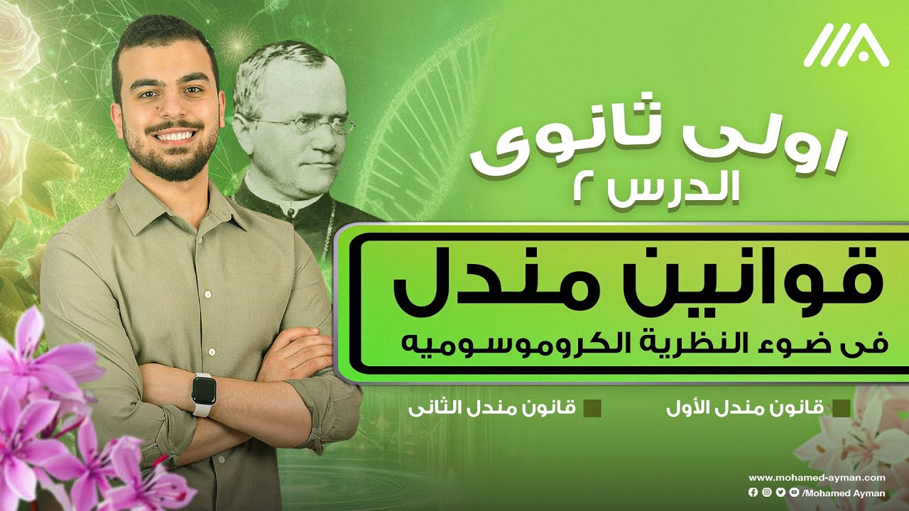 قوانين مندل في ضوء النظريه الكروموسوميه🧬 قانونى مندل الأول والثانى -أحياء أولى ثانوى 🤩