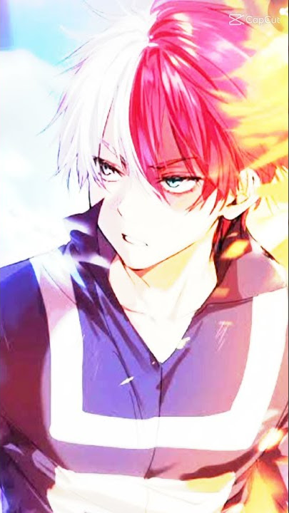 ccp Todoroki shoto | Boku bo Hero academia | awas kaget y