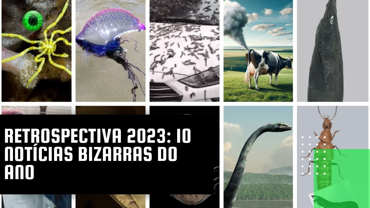 Retrospectiva 2023: 10 notícias bizarras do ano