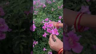 Ful ki khushi #flowers #bharat #motivational #wow #fect #india #love #enjoy #nature #natural #shorts