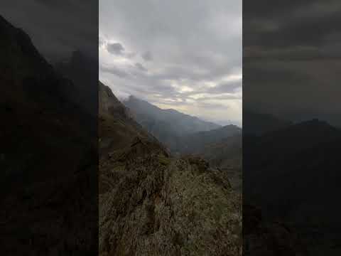 Stranen Kurdi-Vatsap durum