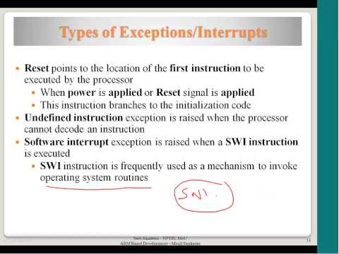 Interrupts and Exceptions, Exception Handlers, Reset Handling