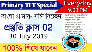 Primary TET Exam Preparation ।। Bong Education ।। Sondhi ।। Primary TET ।। Basic Grammar