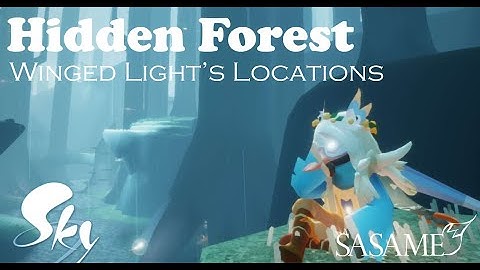 Hidden Forest - WINGED LIGHTS LOCATIONS | Sky: Children of the Light