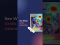 Adobe Express Add-on Gets an Update