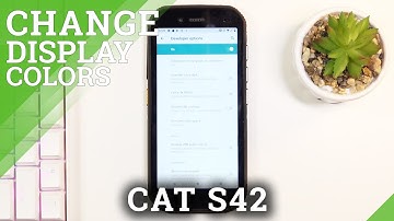 How to Change Color Space in CAT S42 - Simulate Color Space