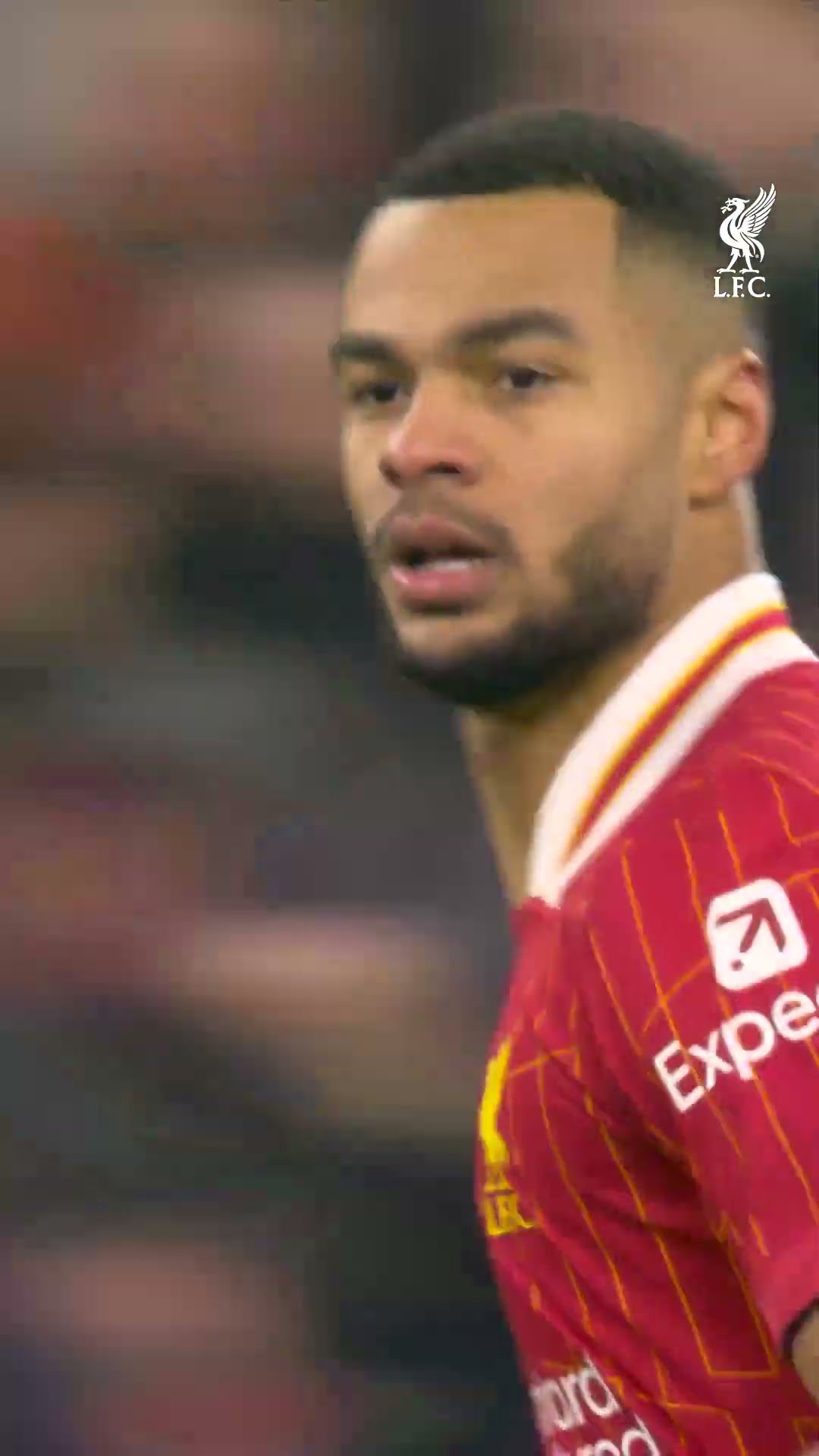 Gakpo Finds The Top Corner ?