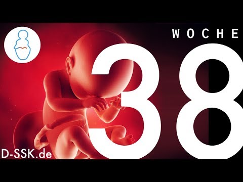 Video: Darf ich in der 38. Schwangerschaftswoche ein Abführmittel nehmen?