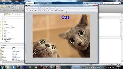 Animal category recognition using Deep CNN Transfer Learning