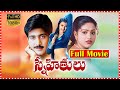 Snehithulu Full HD Movie | Naveen | Raasi | Sakshi Shivanand | Telugu Full Screen