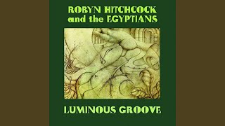 Video thumbnail of "Robyn Hitchcock - In Agony Of Pleasure"